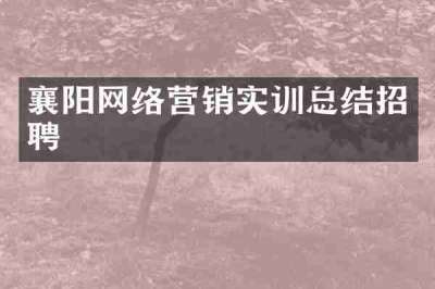 襄阳网络营销实训总结招聘