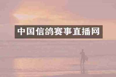 中国信鸽赛事直播网