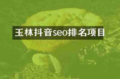 玉林抖音seo排名项目