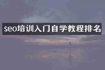 seo培训入门自学教程排名