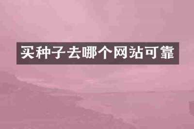 买种子去哪个网站可靠