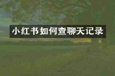 小红书如何查聊天记录