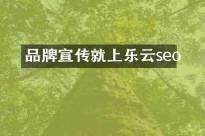品牌宣传就上乐云seo
