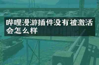 哔哩漫游插件没有被激活会怎么样