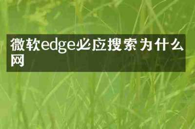 微软edge必应搜索为什么没网