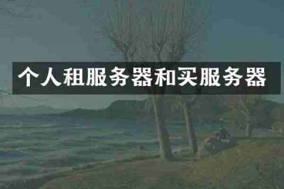 个人租服务器和买服务器