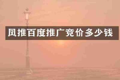 凤推百度推广竞价多少钱