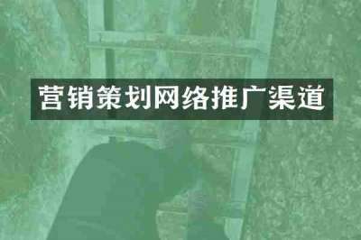营销策划网络推广渠道
