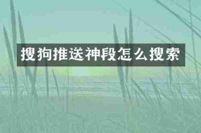 搜狗推送神段怎么搜索
