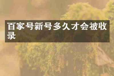 百家号新号多久才会被收录