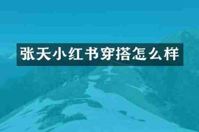 张天小红书穿搭怎么样