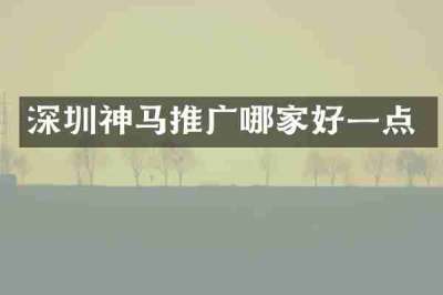 深圳神马推广哪家好一点