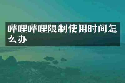 哔哩哔哩限制使用时间怎么办