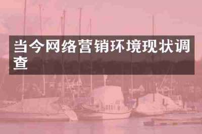 当今网络营销环境现状调查
