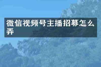 微信视频号主播招募怎么弄