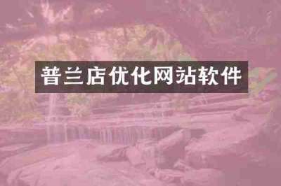 普兰店优化网站软件