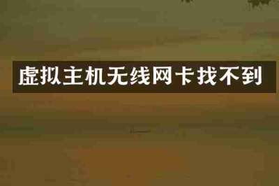 虚拟主机无线网卡找不到