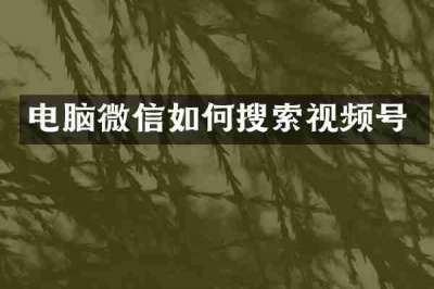 电脑微信如何搜索视频号