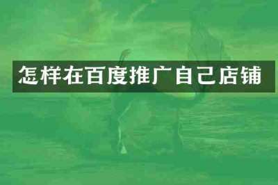 怎样在百度推广自己店铺
