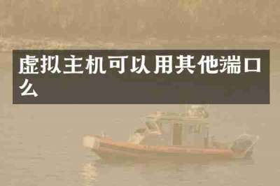虚拟主机可以用其他端口么
