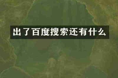 出了百度搜索还有什么