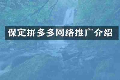 保定拼多多网络推广介绍