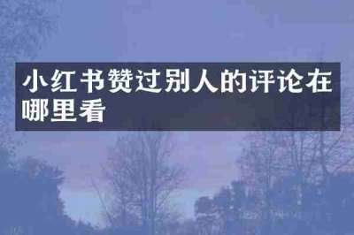 小红书赞过别人的评论在哪里看
