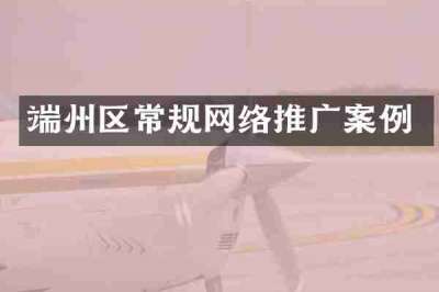 端州区常规网络推广案例