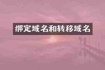 绑定域名和转移域名