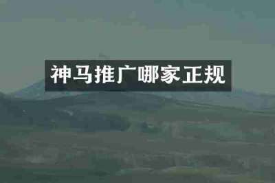 神马推广哪家正规
