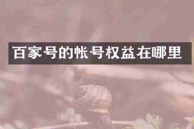 百家号的帐号权益在哪里