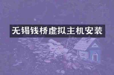 无锡钱桥虚拟主机安装