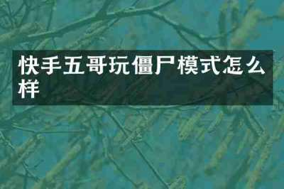 快手五哥玩僵尸模式怎么样