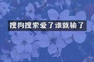搜狗搜索爱了谁就输了