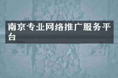 南京专业网络推广服务平台
