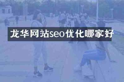 龙华网站seo优化哪家好