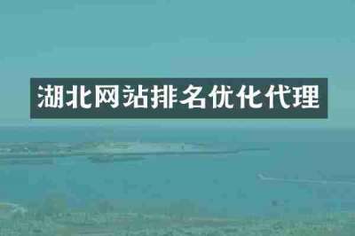 湖北网站排名优化代理