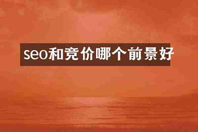 seo和竞价哪个前景好