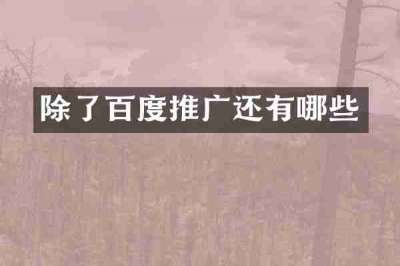 除了百度推广还有哪些