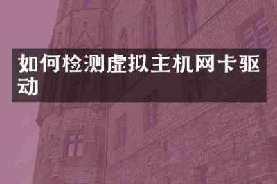 如何检测虚拟主机网卡驱动