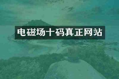 电磁场十码真正网站
