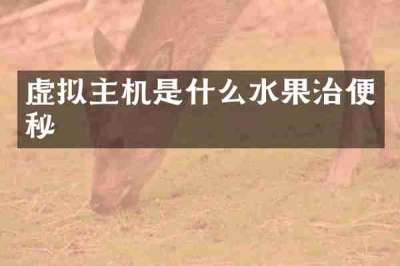 虚拟主机是什么水果治便秘