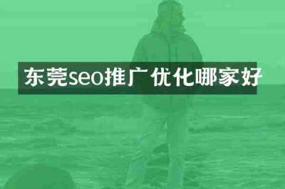 东莞seo推广优化哪家好