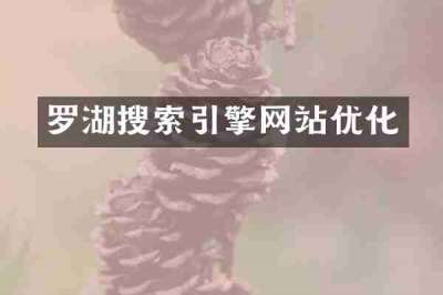 罗湖搜索引擎网站优化