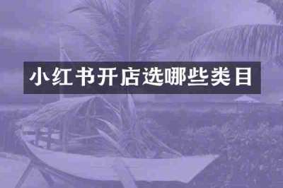小红书开店选哪些类目