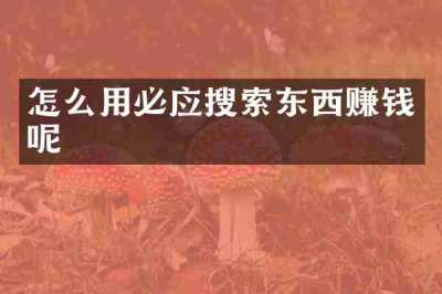 怎么用必应搜索东西赚钱呢