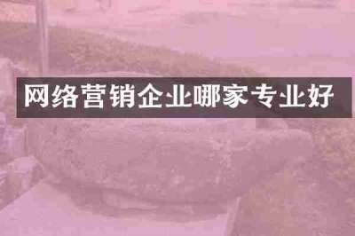 网络营销企业哪家专业好
