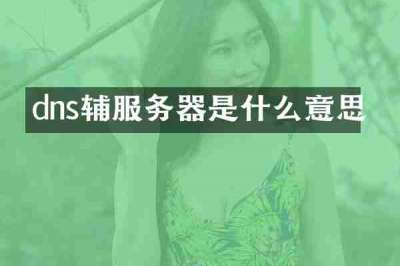 dns辅服务器是什么意思