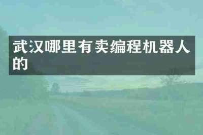 武汉哪里有卖编程机器人的