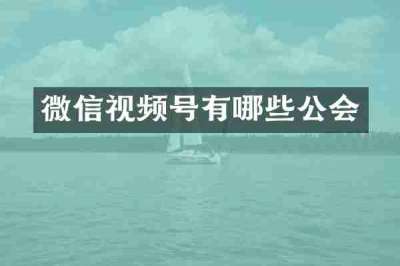 微信视频号有哪些公会